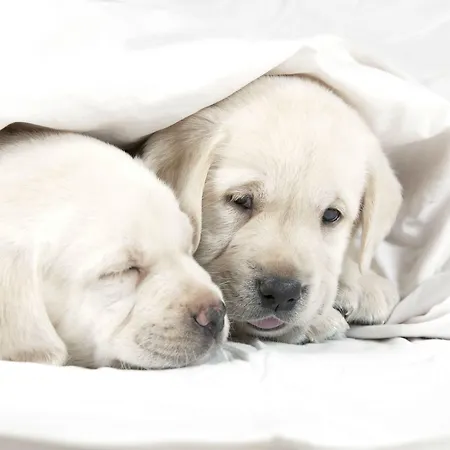 Sb Glow 4 Sup Ξενοδοχείο